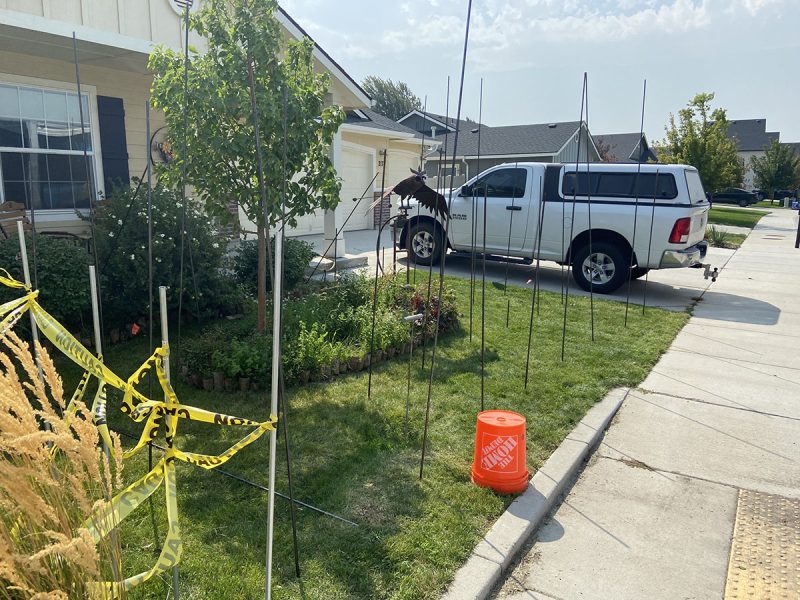front-yard soil-stabilization work area (image 2)