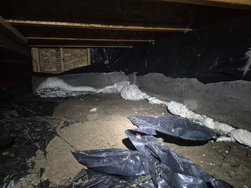 crawl-space footing void filled with structural foam (image 8)