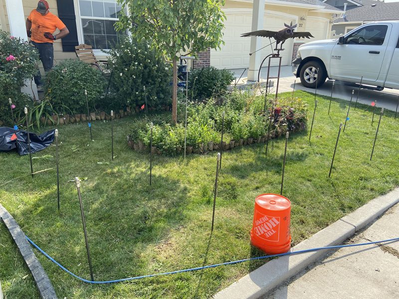 front-yard soil-stabilization work area (image 1)