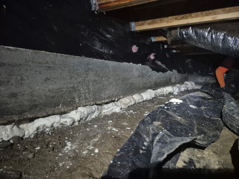 crawl-space footing void filled with structural foam (image 7)