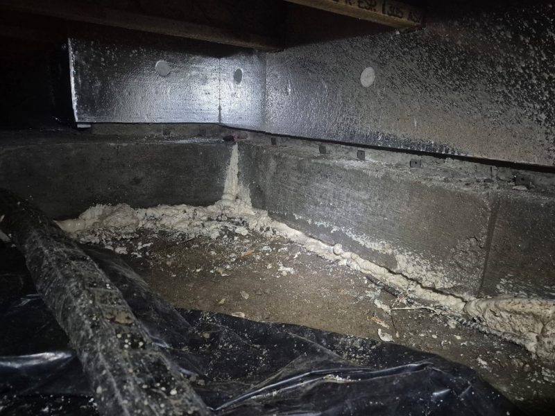 crawl-space footing void filled with structural foam (image 4)