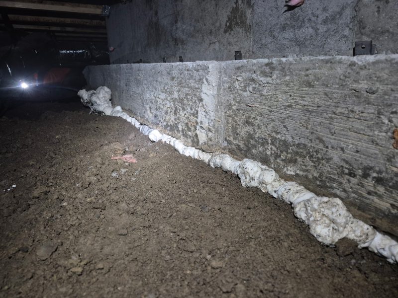 crawl-space footing void filled with structural foam (image 3)